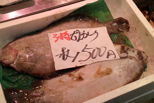 ババガレイ.JPG