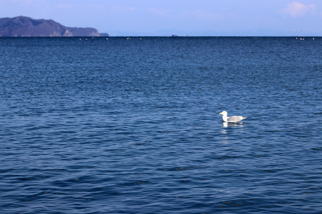下北半島.JPG