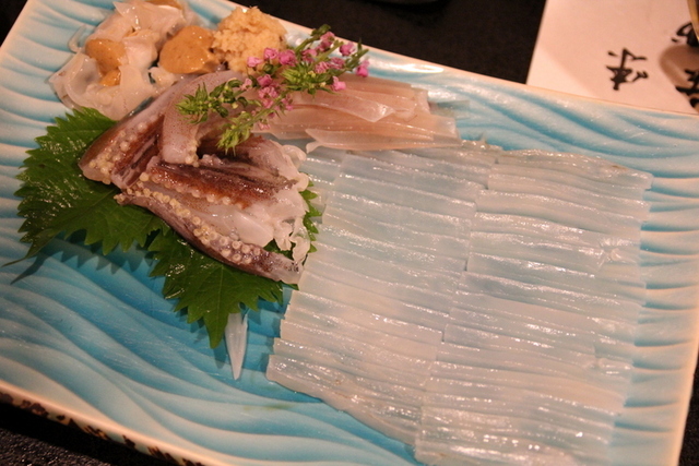 活イカ.JPG