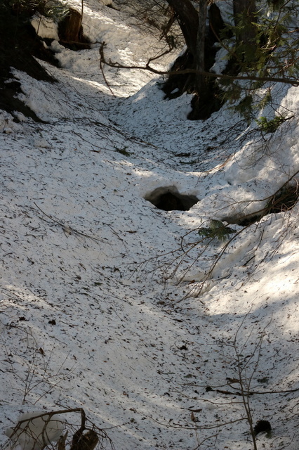 登山道２.JPG