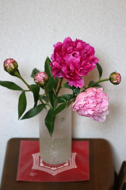 芍薬４.JPG