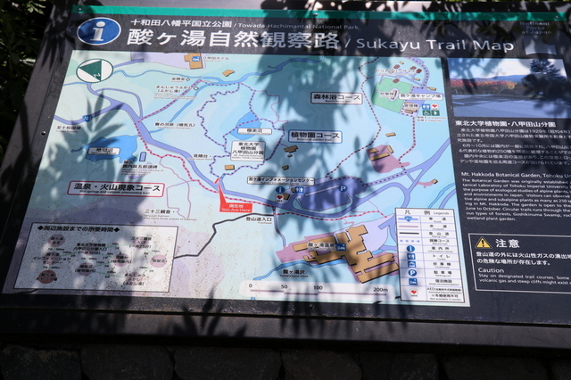 酸ヶ湯探索路.JPG