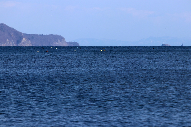 鯛島.JPG